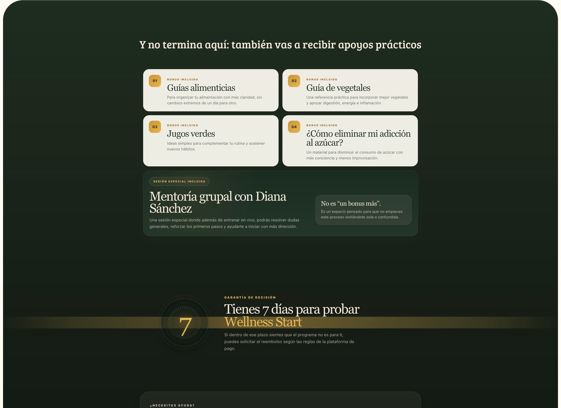 Coco Sanchez — página de vendas, parte 8
